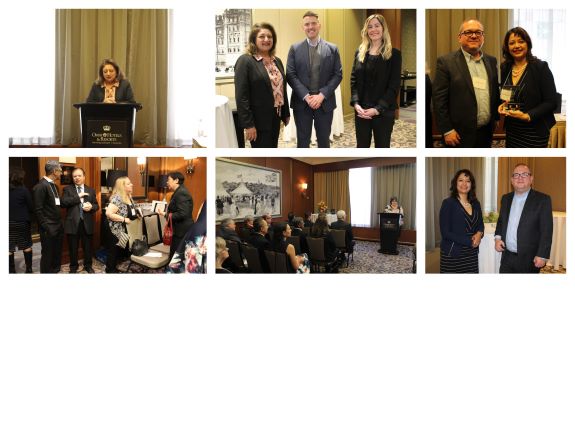 Resize 3 NEW collage - Education Awards 2020 No.3